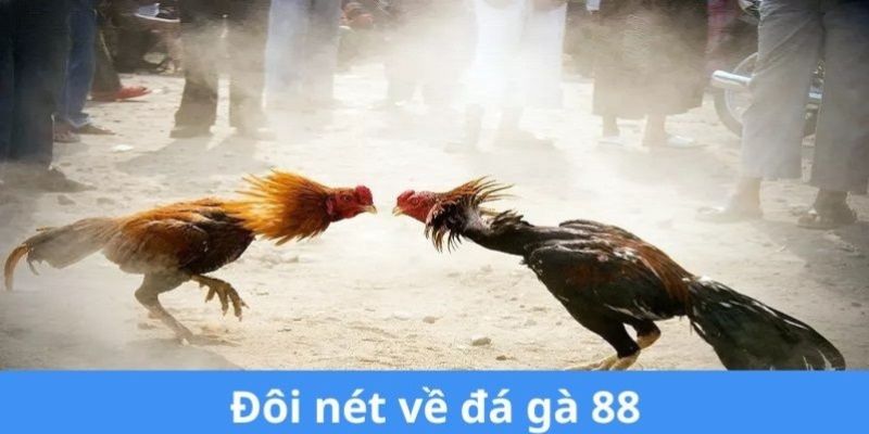 Đá Gà 88