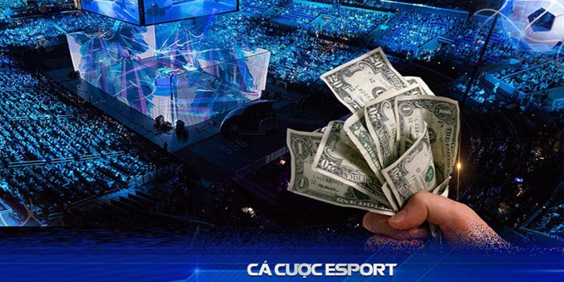 Giới thiệu ngắn về địa chỉ cá cược esports QQ88