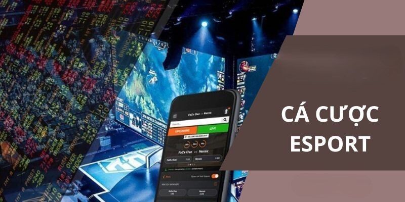 Thế mạnh chỉ có tại trang cá cược esports QQ88